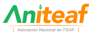 Aniteaf, Asociación Nacional de ITEAF
